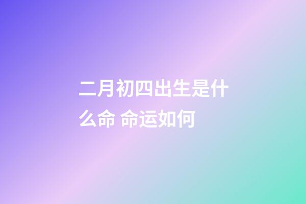 二月初四出生是什么命 命运如何